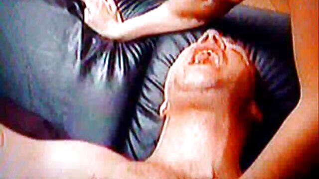 अश्लील कोई पंजीकरण  युवा जोड़े, सेक्सी मूवी एचडी मूवी रूसी सुबह में सेक्स पसंद करते हैं